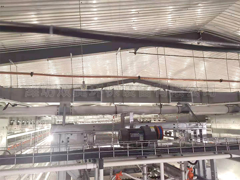 淄博桓台蛋雞場