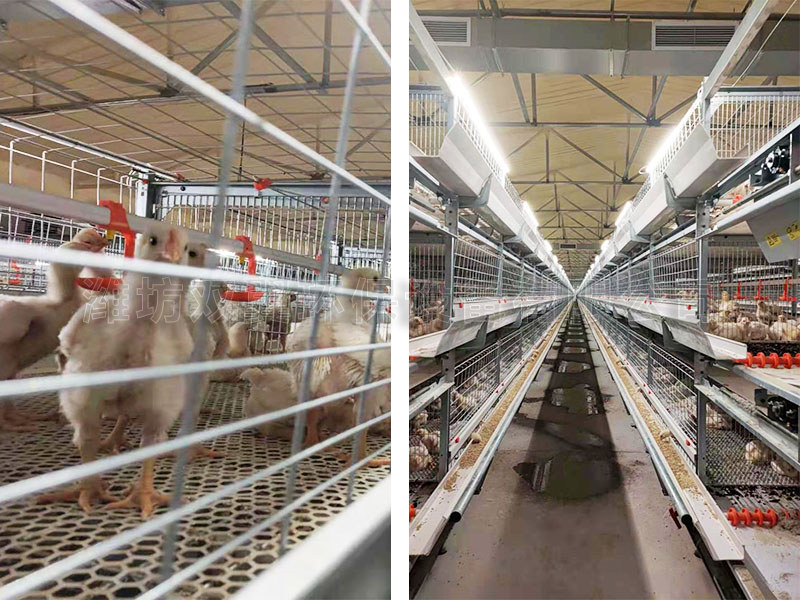 青州雞場養殖環境控製機組使(shǐ)用示例